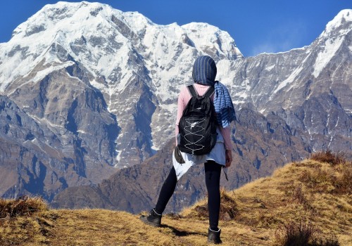 Mt. Annapurna View