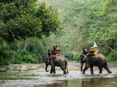 Jungle Safari at Chitwan