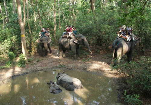 Chitwan National Park Jungle Safari